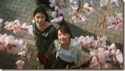 Shibuya-ku Maruyama-cho 2881