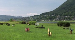 shojotachi-42