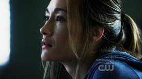 Nikita.S02E12.720p.HDTV.x264-IMMERSE.mkv - 00000