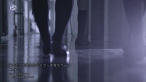 Aimer - Anata Ni Deawanakereba ~Natsuyuki Fuyuhana~ 0452