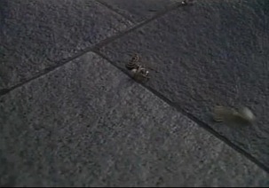 Sono Hatsu 3.mp4 - 00060