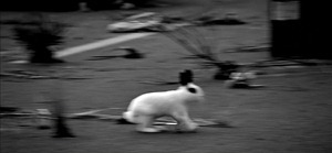 T-ara - Sexy Love 00002