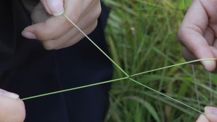 「ゆめのかよいじ」予告篇90秒 - YouTube.mp4 - 00021