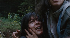 Martyrs.2008.1080p.BluRay.x264-FLHD.mkv - 00055