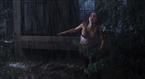 Martyrs.2008.1080p.BluRay.x264-FLHD.mkv - 00103