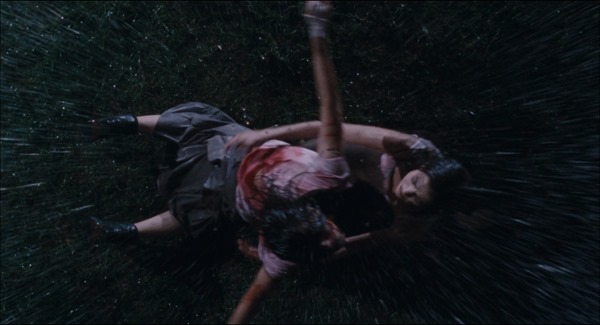 Martyrs.2008.1080p.BluRay.x264-FLHD.mkv - 00104