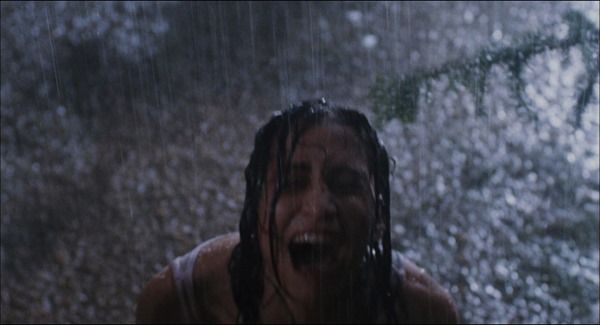 Martyrs.2008.1080p.BluRay.x264-FLHD.mkv - 00112