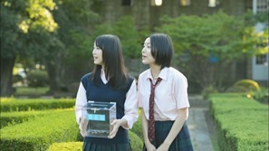 Gingham Check Alt.m2ts - 00095