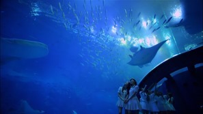 Sayocro.m2ts - 00000