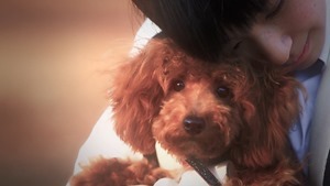 りぃちゃんドラマ「犬との別れ編」 - YouTube.mp4 - 00004