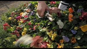 映画『 5つ数えれば君の夢 』予告編 - YouTube.mp4 - 00030