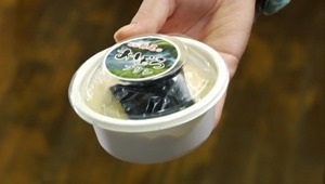 Yume no Kayojiji.mkv - 00040