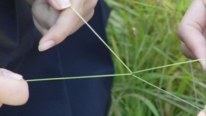 Yume no Kayojiji.mkv - 00095