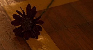 TGS 5tsu Movie.m2ts - 00795