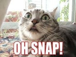 ohsnap