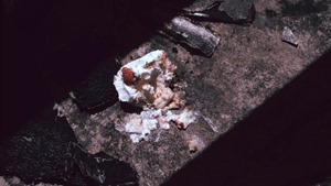 [NOP] Real Onigokko Rising - 02 (2015) [Raw] [Clean Screen] [720p].mp4 - 00441