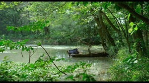 The.Silenced.2015.720p.HDRip.H264-CINEFOX.mp4 - 00237