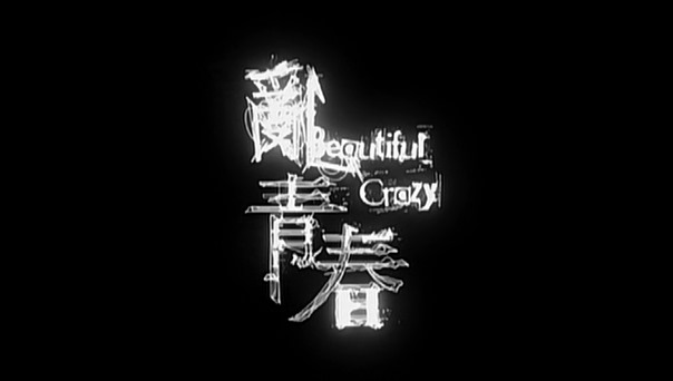 Beautiful Crazy.mkv - 00008