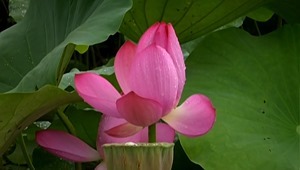 Beautiful Crazy.mkv - 00041