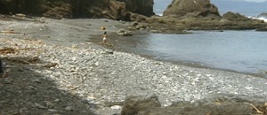 Journey.mkv - 00052 (2)