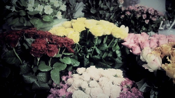 TGS 1st Album Movie-2.m2ts - 00001