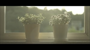 Alice - Crack of Season 앨리스 - 계절의 틈 2016.mp4 - 00016