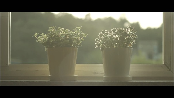 Alice - Crack of Season 앨리스 - 계절의 틈 2016.mp4 - 00016