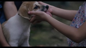 End of Summer  여름의 끝자락 (2015).mp4 - 00042