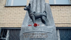 映画「ライカ」今関あきよし監督作品―予告編 on Vimeo.MP4 - 00;27;12.877