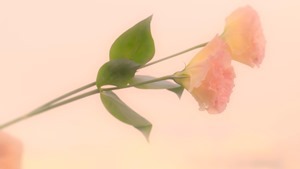 수란 (SURAN) - 슬픈 아픔 (Sad Pain) MV - YouTube.MKV - 00103