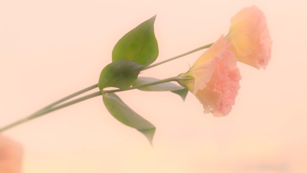 수란 (SURAN) - 슬픈 아픔 (Sad Pain) MV - YouTube.MKV - 00103