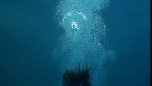 Naissance.De.Pieuvres.Water.Lilies.2007.718p.DVDRip.x264.AAC.mkv - 00891