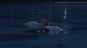 Renai Shindan.mkv - 00297