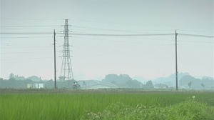 Renai Shindan.mkv - 00339