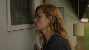 Sharp.Objects.S01E03.Fix.1080p.AMZN.WEB-DL.DDP5.1.H.264-NTb.mkv - 00507