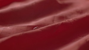 Garden City Movement - Move On (Official Video) - YouTube.MP4 - 00002