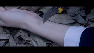 SHOUJO_KAIKOU.Title0.m2ts - 00015