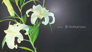 Yuri da 02.mp4 - 11;43;55.874