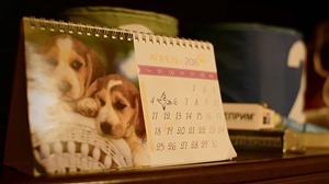 RAIKA.mkv - 22;11;12.583