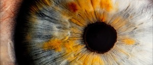 T.F.2019.CHINESE.1080p.BluRay.x264.DTS-PTH.mkv_snapshot_00.07.44.928