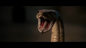 Benedetta (2021) - Trailer (French).mp4_snapshot_00.45.860