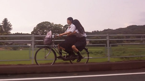 KALANCHOE カランコエの花.mp4_snapshot_24.06.598