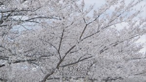 STARTING OVER.mp4_snapshot_01.28.10.600