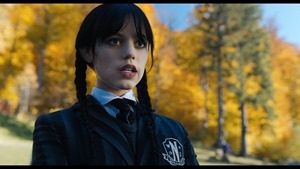 wednesday.s01e02.2160p.web.h265-donuts.mkv_snapshot_06.28.501